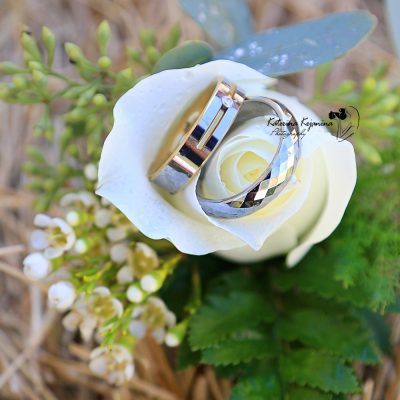 LGBT Gay Wedding Photographer Palm Coast Florida