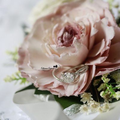 Wedding photography, engagement sessions, wedding packages